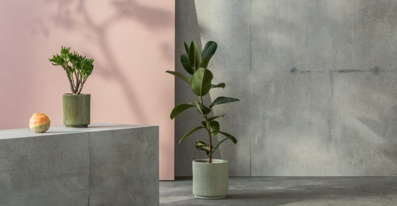 Deko Ideen für Zuhause: So kommt auch im Winter Urlaubsfeeling auf